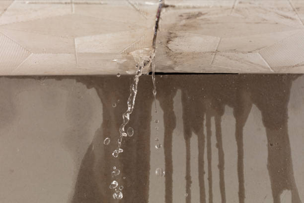 Professional Water Damage Inspection technician working in Hampton Bays, NY